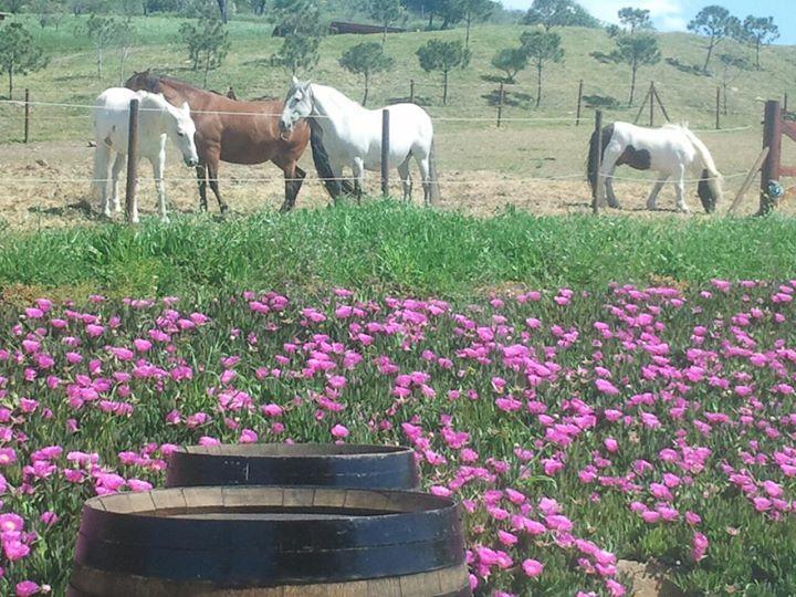 Penzion Relente Casabermeja Exteriér fotografie